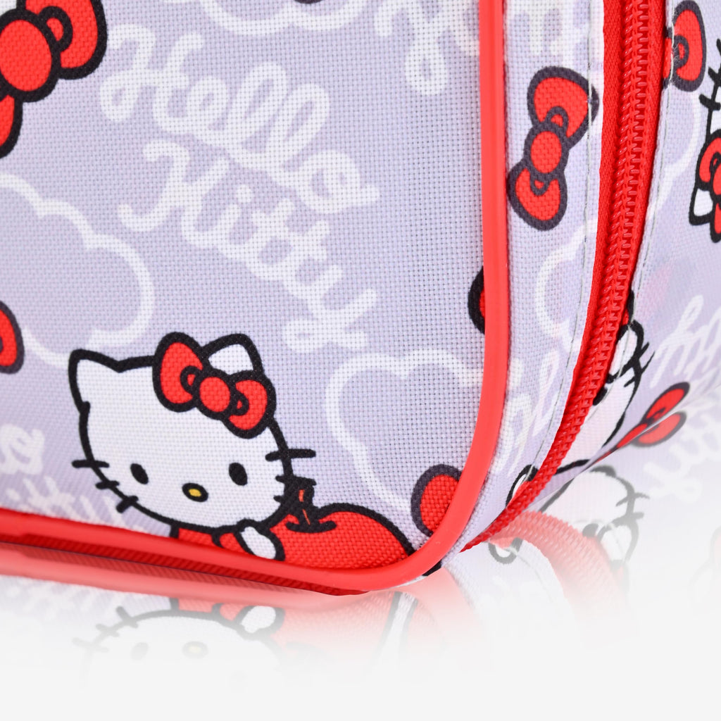 Fast Forward Hello Kitty Or Paw Patrol Lunch Box for Kids | Insulated Lunch Bag Lunch Box for Girls, Boys, Toddlers | Reusable Lunchbox