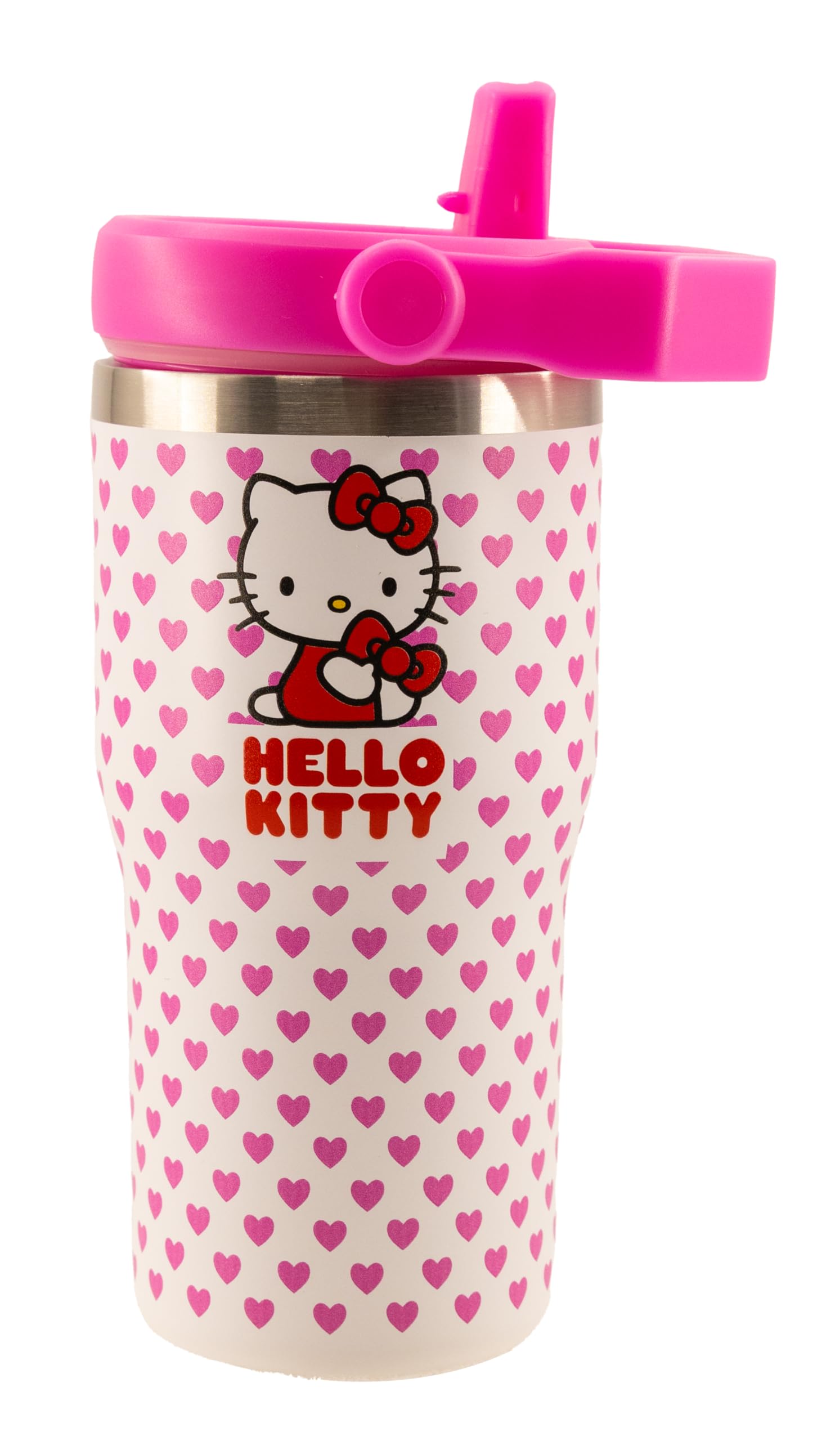 Jurassic World or Hello Kitty Insulated Stainless Steel Water Bottle with Handle | 20 Oz Insulated Water Bottle